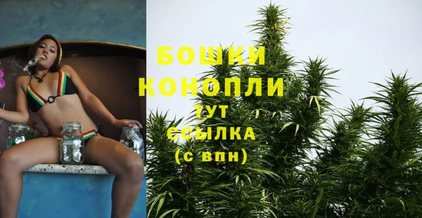 мескалин Ладушкин