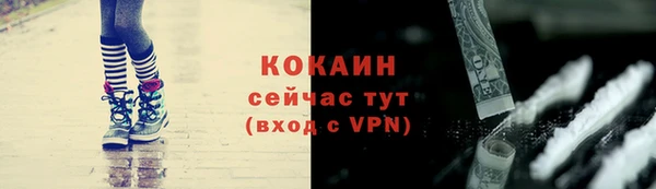 мдпв Лабытнанги