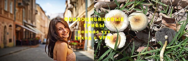 первитин Лагань