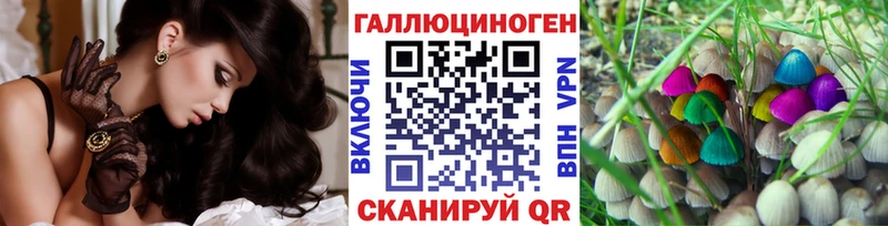 закладка  Навашино  Псилоцибиновые грибы Psilocybine cubensis 