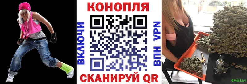 KRAKEN как войти Навашино Каннабис ГИДРОПОН